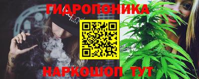 гашишное масло Новозыбков