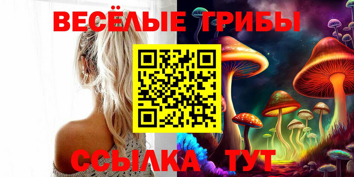 Славянск-на-Кубани  Галлюциногенные грибы GOLDEN TEACHER  Вход с VPN  Галлюциногенные грибы прущие грибы 